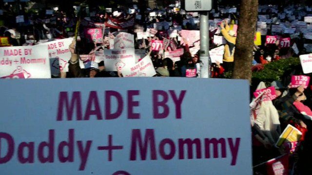 Anti-gay marriage placards proclaiming "made by daddy and mommy"