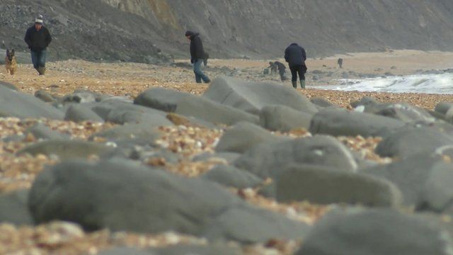 Fossil hunters on the beach