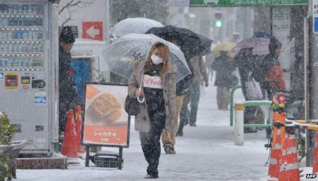 Snowstorm in Tokyo disrupts road, rail and air transport