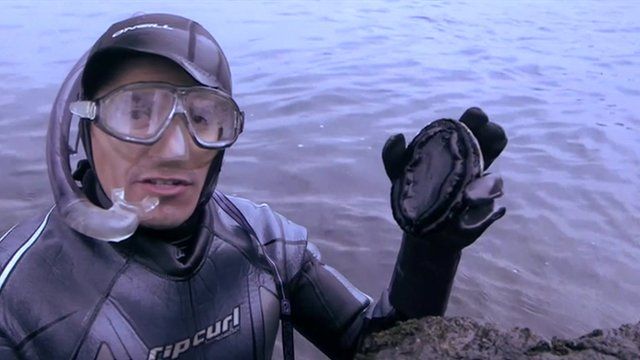 Diver holding an abalone