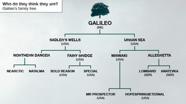 galileo galilei family tree