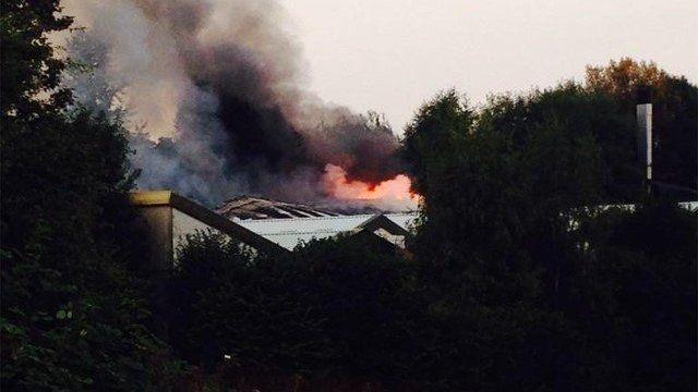 the fire at Manchester Dogs' Home