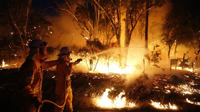 Firefighters attempt to extinguish a bushfire at the Windsor Downs Nature Reserve, near Sydney on 10 September, 2013