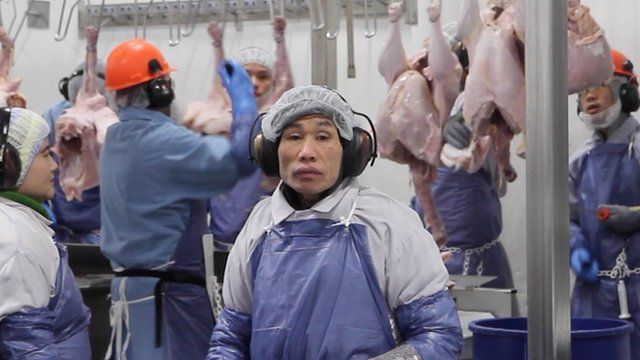 A worker in a turkey factory