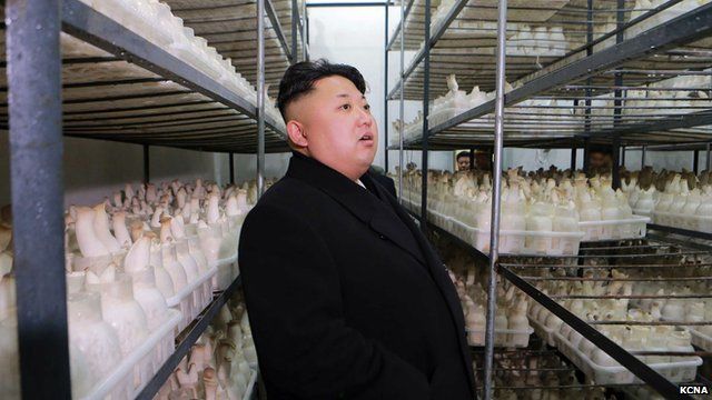 North Korean leader Kim Jong-Un inspects the newly-built Pyongyang City Mushroom Farm. 10 January 2015