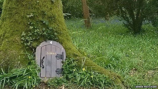 Wayford Woods, Somerset