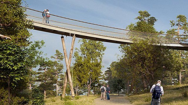 Artist's impression of treetop walkway at Westonbirt Arboretum