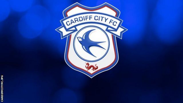 CREST Cardiff City F.C Personalised Small Plain Straight Sided Tankard 