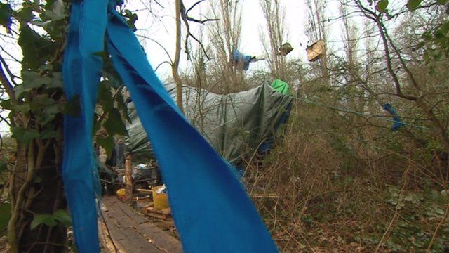 Protesters perch in the tree-tops at Stapleton Allotments in Bristol