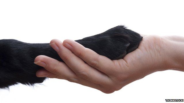 a guide dogs paw held in a hand