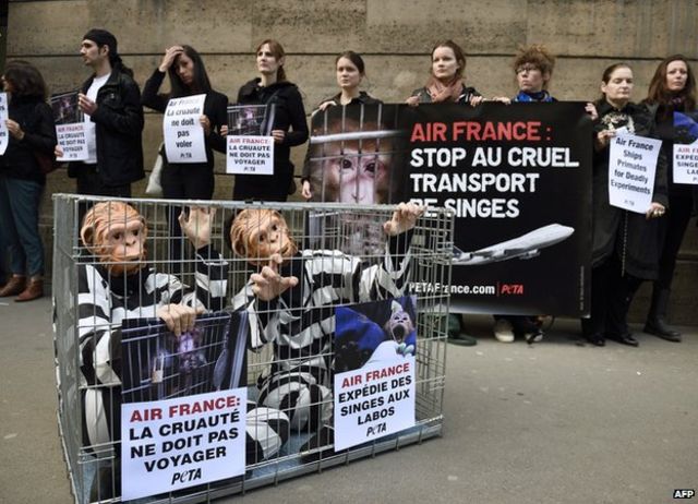EU rejects bid to ban animal testing in European labs - BBC News