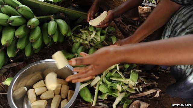 Tanzanian farmers prepare food from bananas in Muleba district on October 16, 2012.
