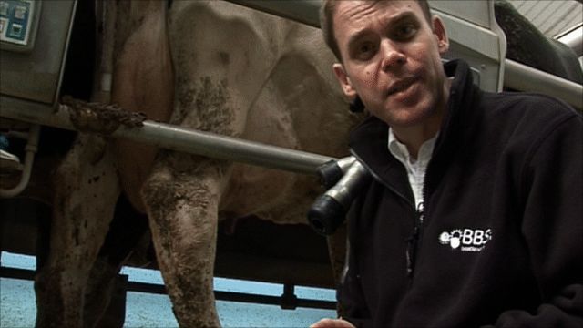 Professor Mark Stevens explains E.coli 0157