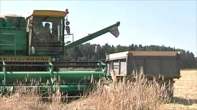 Combine harvester