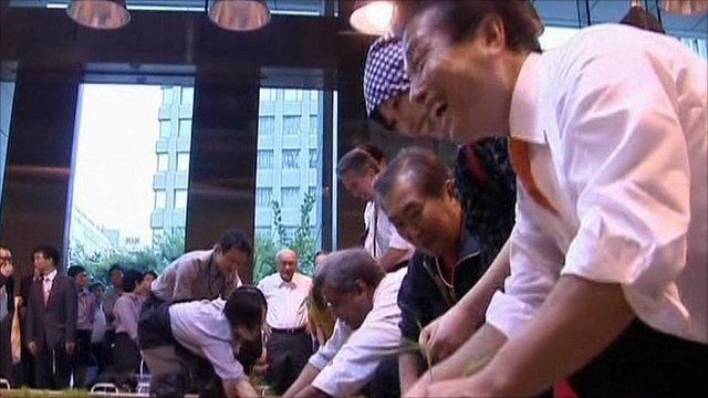Growing food in Tokyo