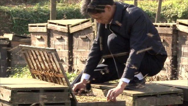 Long Xunming is a bee keeper who supplies expert information to the Nongxinton network