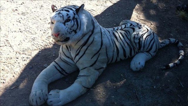 real tiger toy