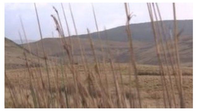 Y Mynydd Du