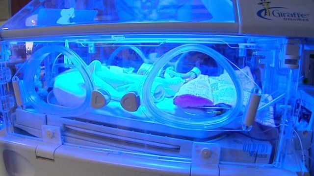 An incubator