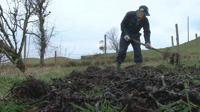 Ruairidh Moireach ag obair air a' chroit