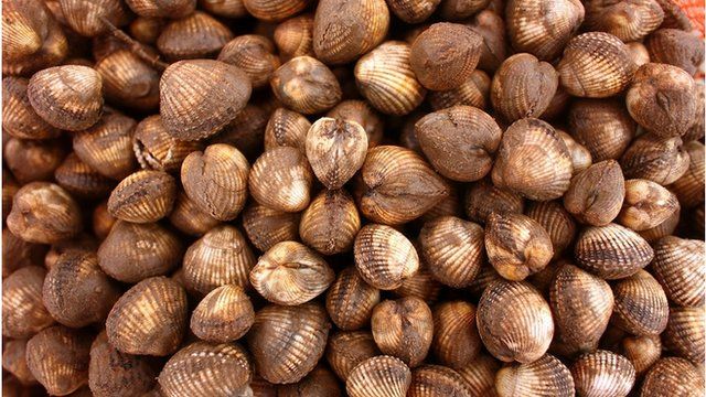 Cocos