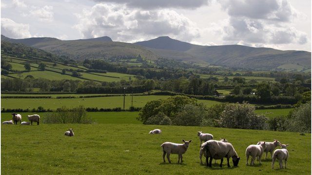 fferm yn ne Cymru