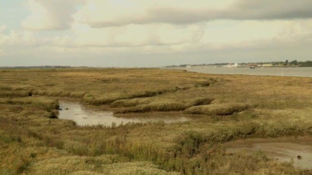 Work begins on Europe's largest man-made nature reserve - BBC News