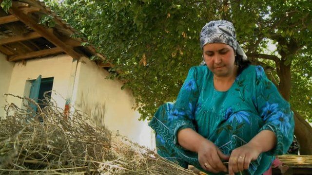 tajikistan women