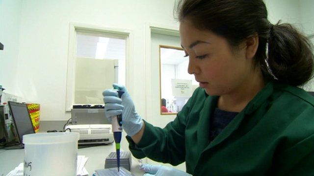 Ash dieback testing lab