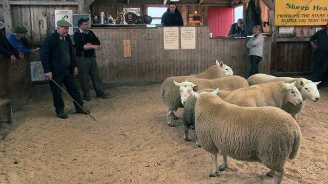 Fèill na Luirge