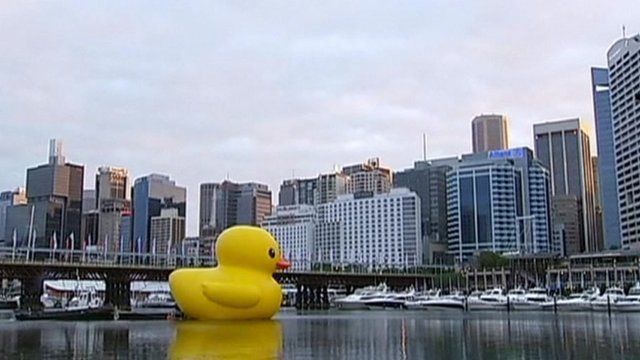Giant Rubber Duck Takes A Swim In Sydney Harbour Bbc News 