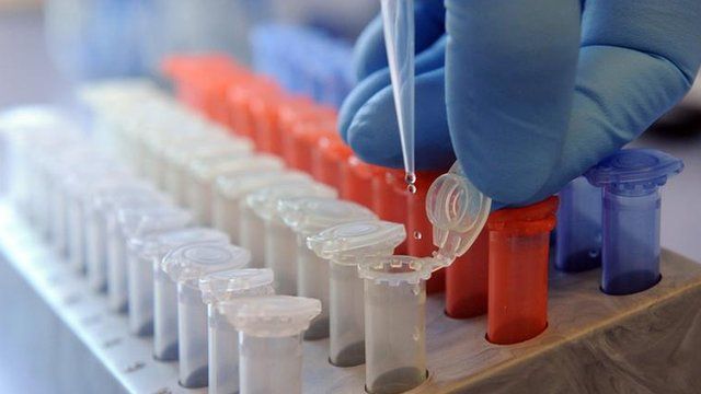 Test tubes in laboratory