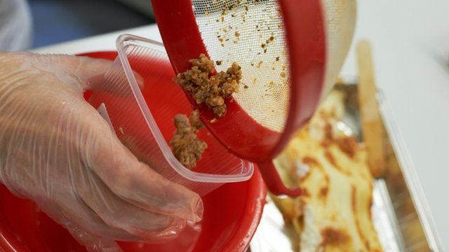 A laboratory assistant prepares a meat sample of lasagne for a DNA test