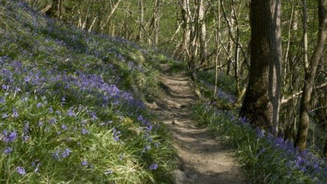 Mae tri chorff presennol yn dod at ei gilydd i ofalu am amgylchedd Cymru