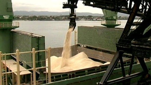 Soybeans at Port of Santos
