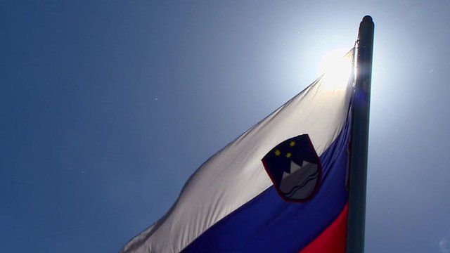 Slovenian flag