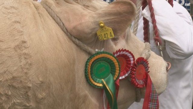 Fèill Rìoghail na Gàidhealtachd