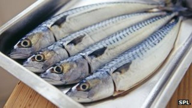 Eating oily fish 'halves rheumatoid arthritis risk'