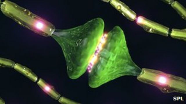 Sleep 'boosts brain cell numbers'