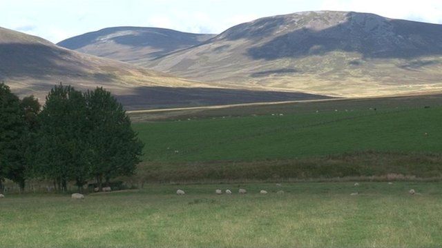 Talamh-àitich