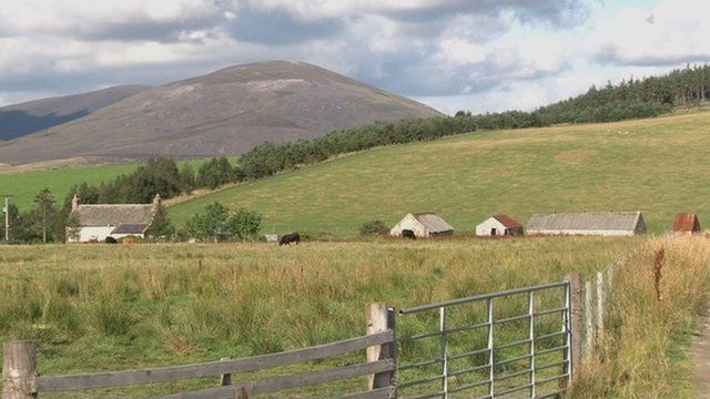 Croitearachd