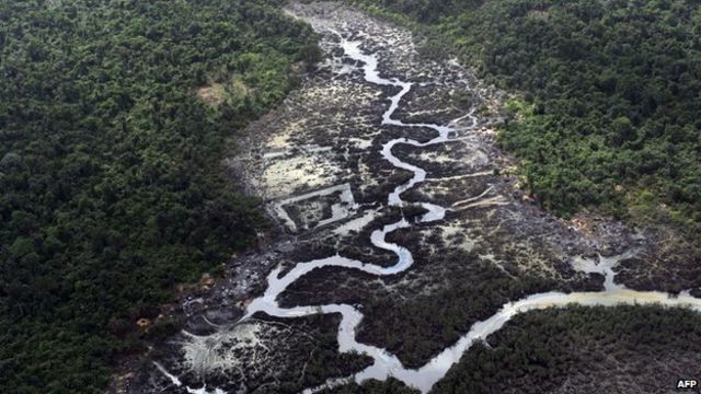 Nigeria oil firms 'deflect blame for spills', says Amnesty