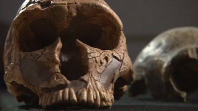 Skull