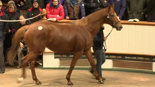 Dancing Rain at Tattersalls