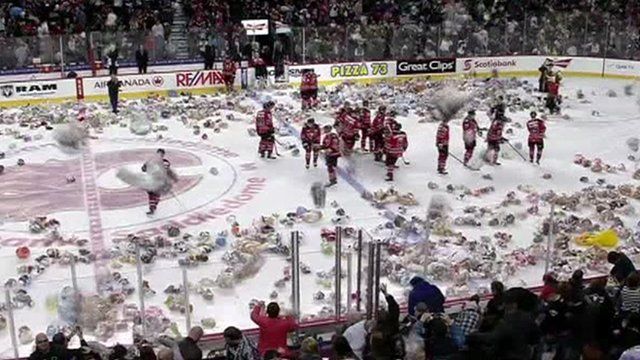 teddy bears thrown on ice