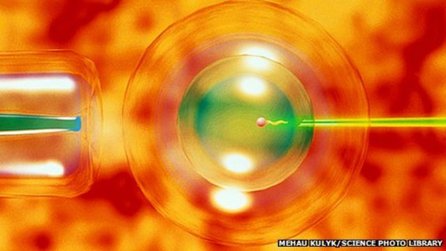 IVF success rate 'could be doubled'