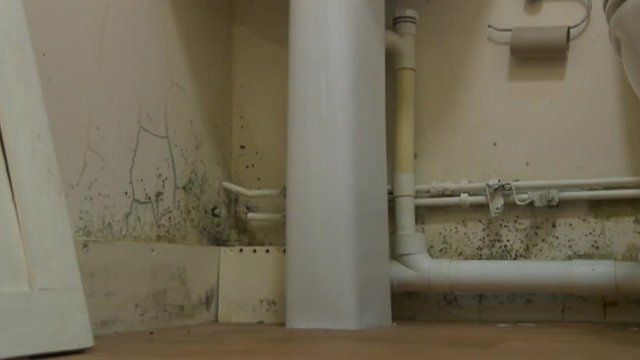 Mouldy bathroom
