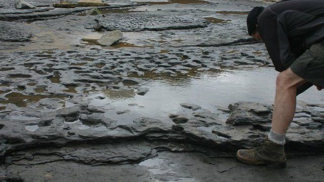 Earliest footprints