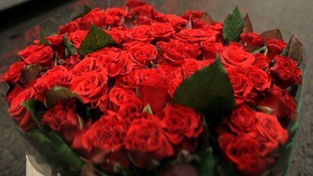 Roses
