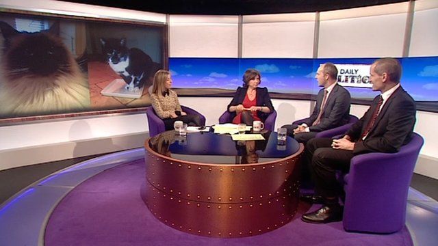 Daily Politics panel debating cat contest